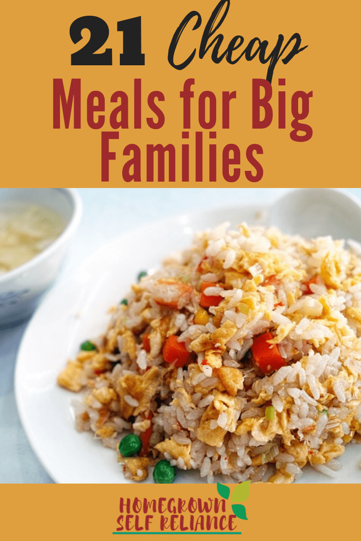 21 Cheap Meals For Big Families - Homegrown Self Reliance