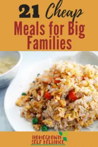 21 Cheap Meals for Big Families. Use these recipes when there's too much month at the end of the money!