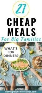 Do you have a big family and need to work on your food budget? Here are 21 cheap meals for big families that you can add into your meal plan! #foodbudgeting #budget #cheapmeals