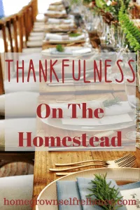 It's Thanksgiving! What are you thankful for? This is a loop post with my blogging friends, talking all about being thankful. Check it out, and pin their posts too! #thanksgiving #thankful #homesteading