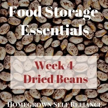 Dried Beans - Food Storage Essentials Week 4