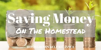 Saving money on the homestead