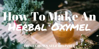 How to make an herbal oxymel