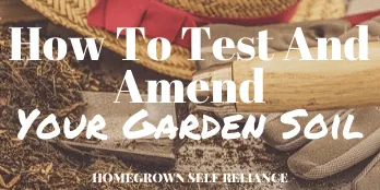 How to test and amend your garden soil