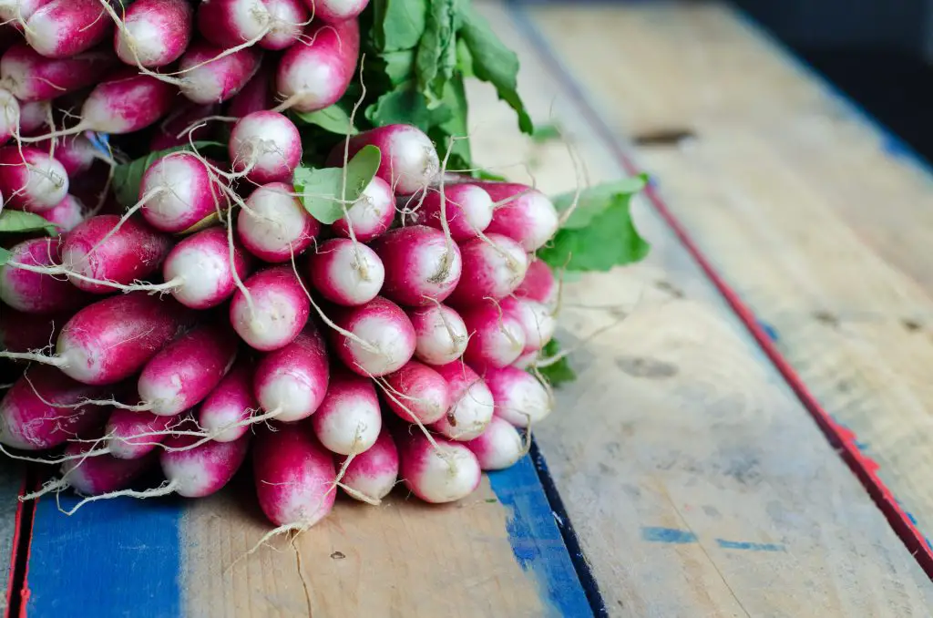 Radishes are a great fast growing vegetable