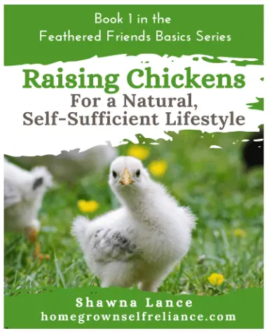 Raising chickens for a natural, self-sufficient lifestyle