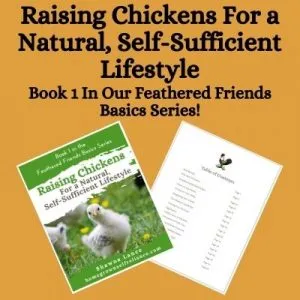 Raising Chickens for a Natural, Self-Sufficient Lifestyle