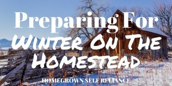 Preparing for winter on the homestead