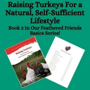 Raising Turkeys for a Natural, Self-Sufficient Lifestyle