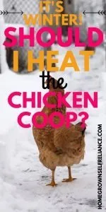 It's winter! Should I heat the chicken coop?