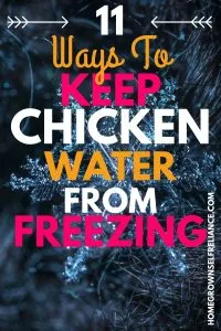 11 ways to keep chicken water from freezing
