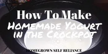 How to make homemade yogurt in the crockpot
