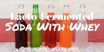 Lacto-Fermented Soda with Whey
