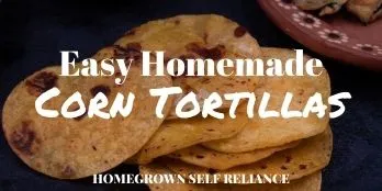 Easy Homemade Corn Tortillas