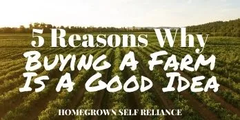 5 Reasons Why Buying a Farm is a Good Idea