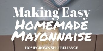 Making easy homemade mayonnaise