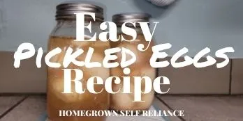 Easy Pickled Eggs Recipe