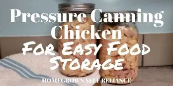 Pressure canning chicken for easy food storage