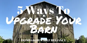 5 Ways to Upgrade Your Barn