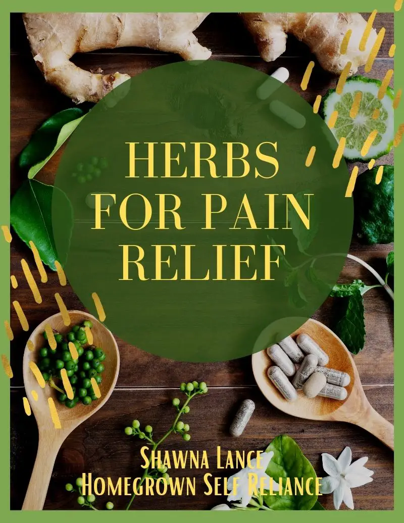Herbs for Pain Relief