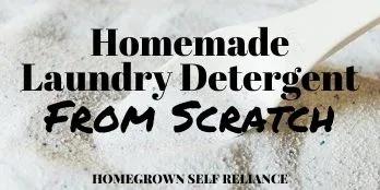 Homemade Laundry Detergent from Scratch
