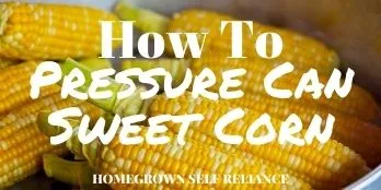 How To Pressure Can Sweet Corn
