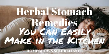 Herbal Stomach Remedies You Can Easily Make in the Kitchen